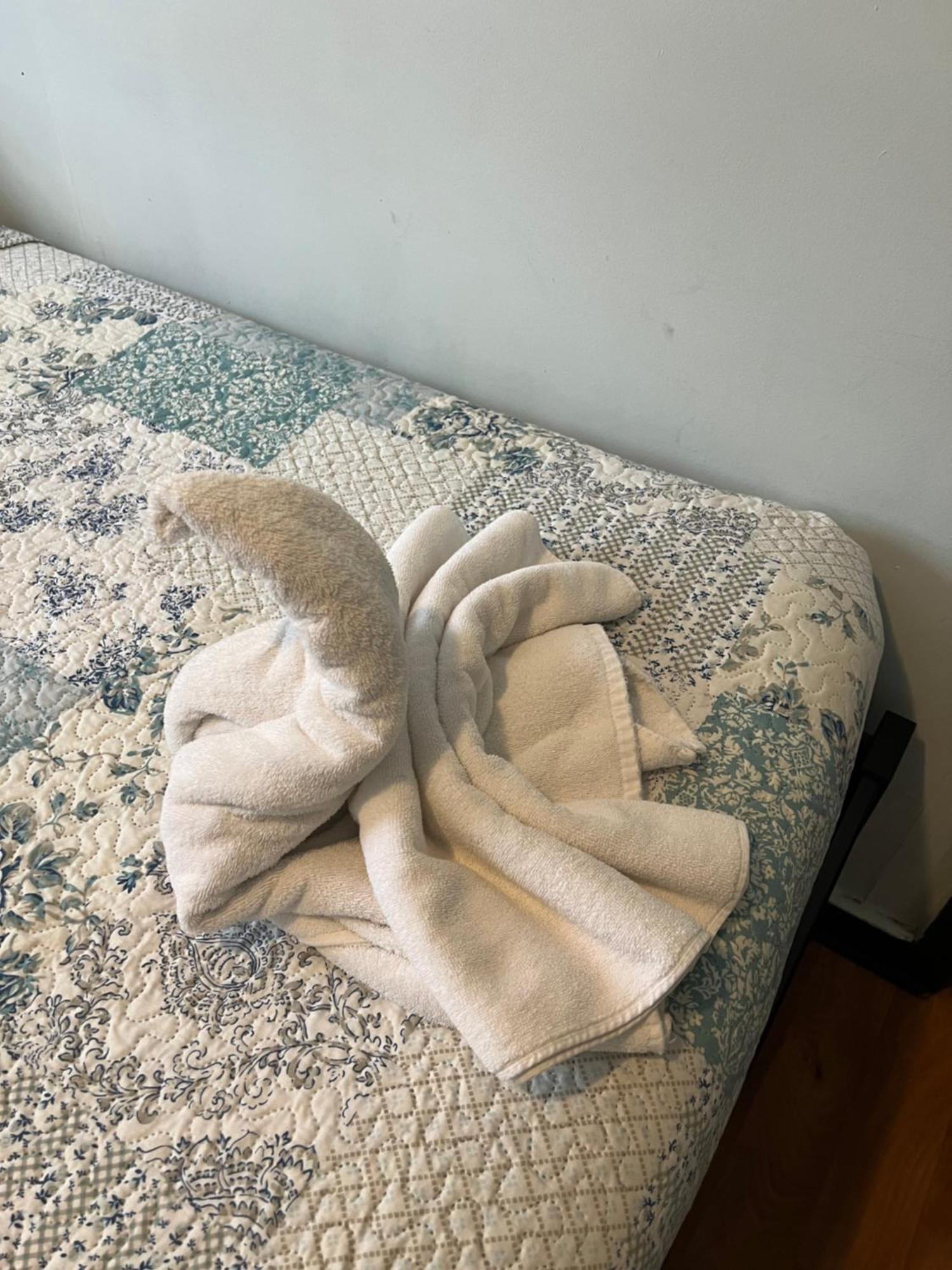 Hostal Victoria Punta Arenas Bagian luar foto