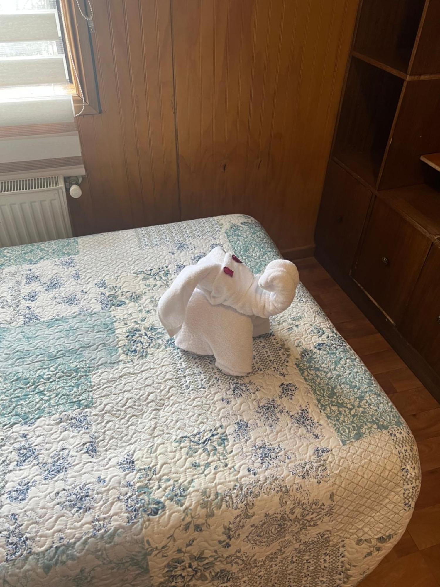 Hostal Victoria Punta Arenas Bagian luar foto